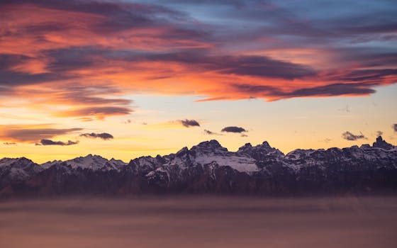 Ako Získať Vitamíny: Rozdiel Medzi Rozpustnými vo Vode a v Tukoch